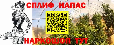 мдпв Гатчина