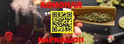 мдпв Гатчина