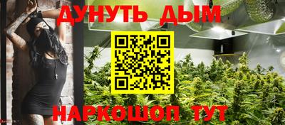мдпв Гатчина